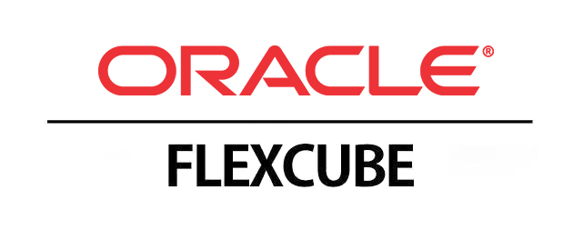 Brazil-based Bank Project (FLEXCUBE)